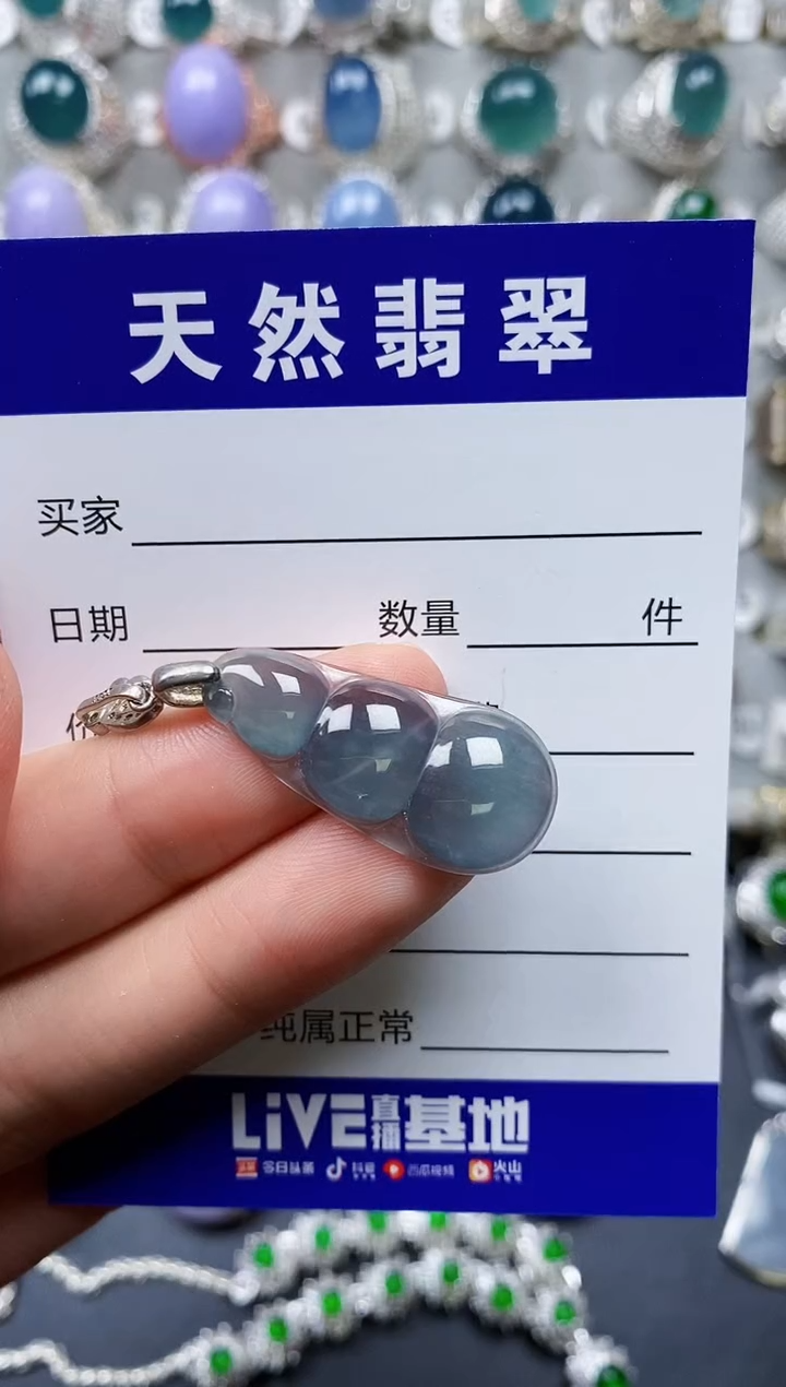 【闪购商品】翡翠颈饰银S925镶嵌0326