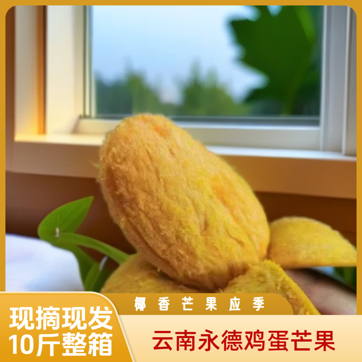 云南永德当季新鲜鸡蛋芒绿皮老品种椰香芒果整箱水果包邮