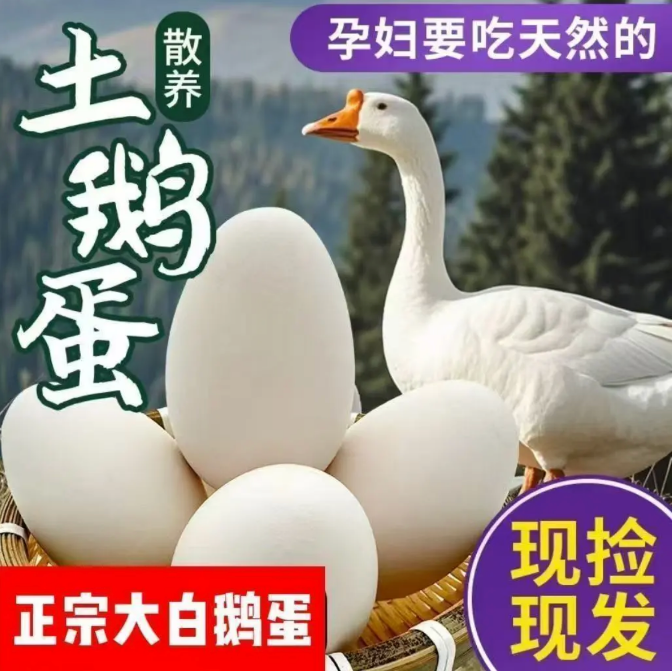 现捡现发新鲜散养生态农家土鹅蛋损坏包赔笨鹅蛋 20枚