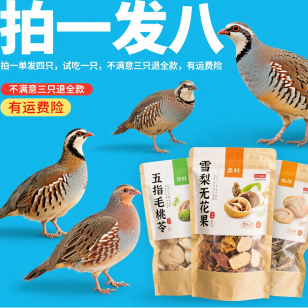 【试吃一只到手四只】送汤料包农家散养新鲜飞龙鸟呱呱鸡每只5-6两