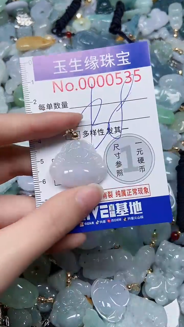 【闪购商品】翡翠颈饰未镶嵌闪购0000535