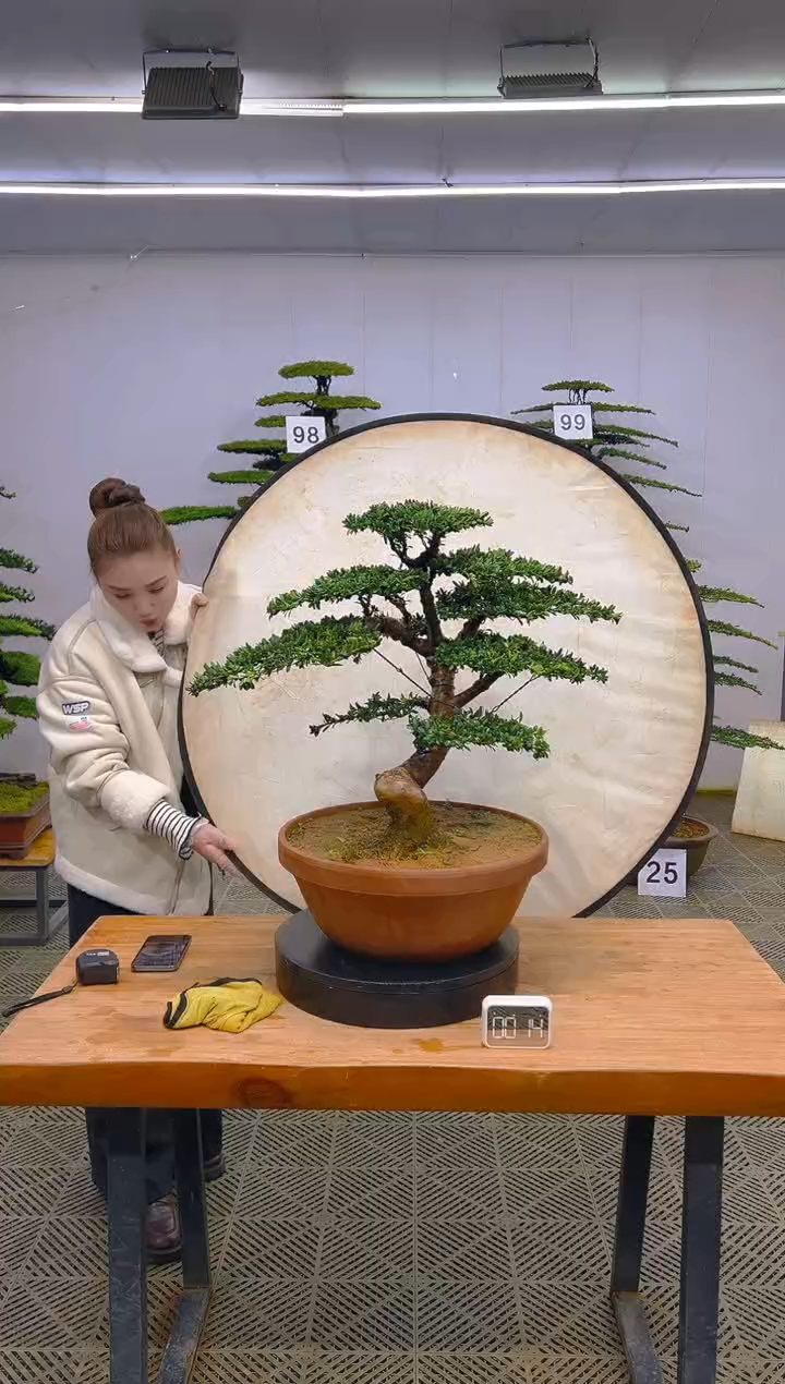 无花朵一物一拍一物一拍