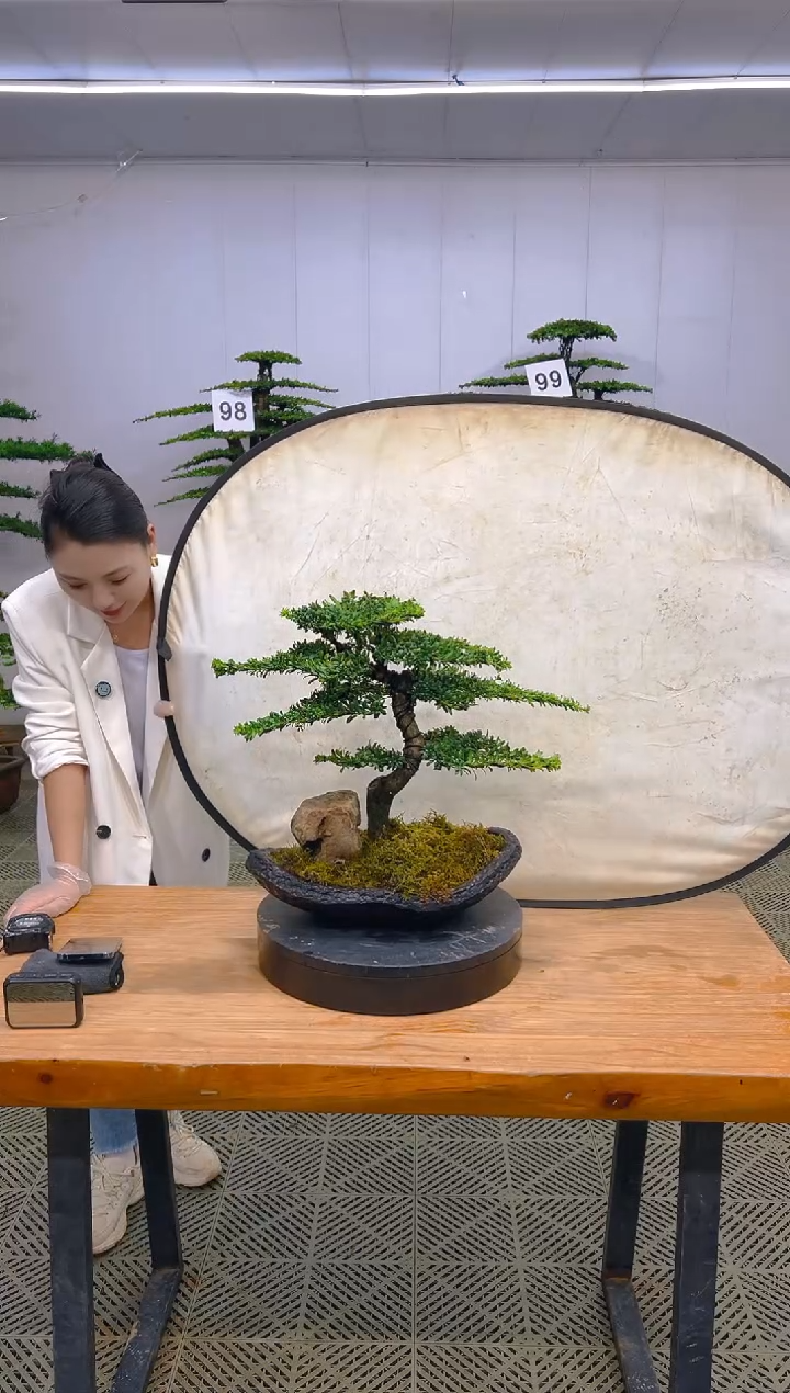 无花朵一物一拍一物一拍