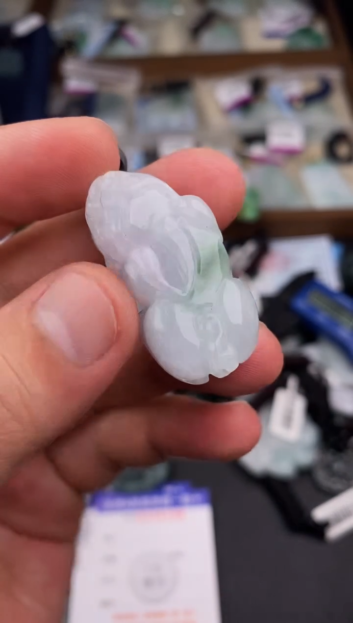 【闪购商品】翡翠颈饰未镶嵌  天然翡翠，一物一图