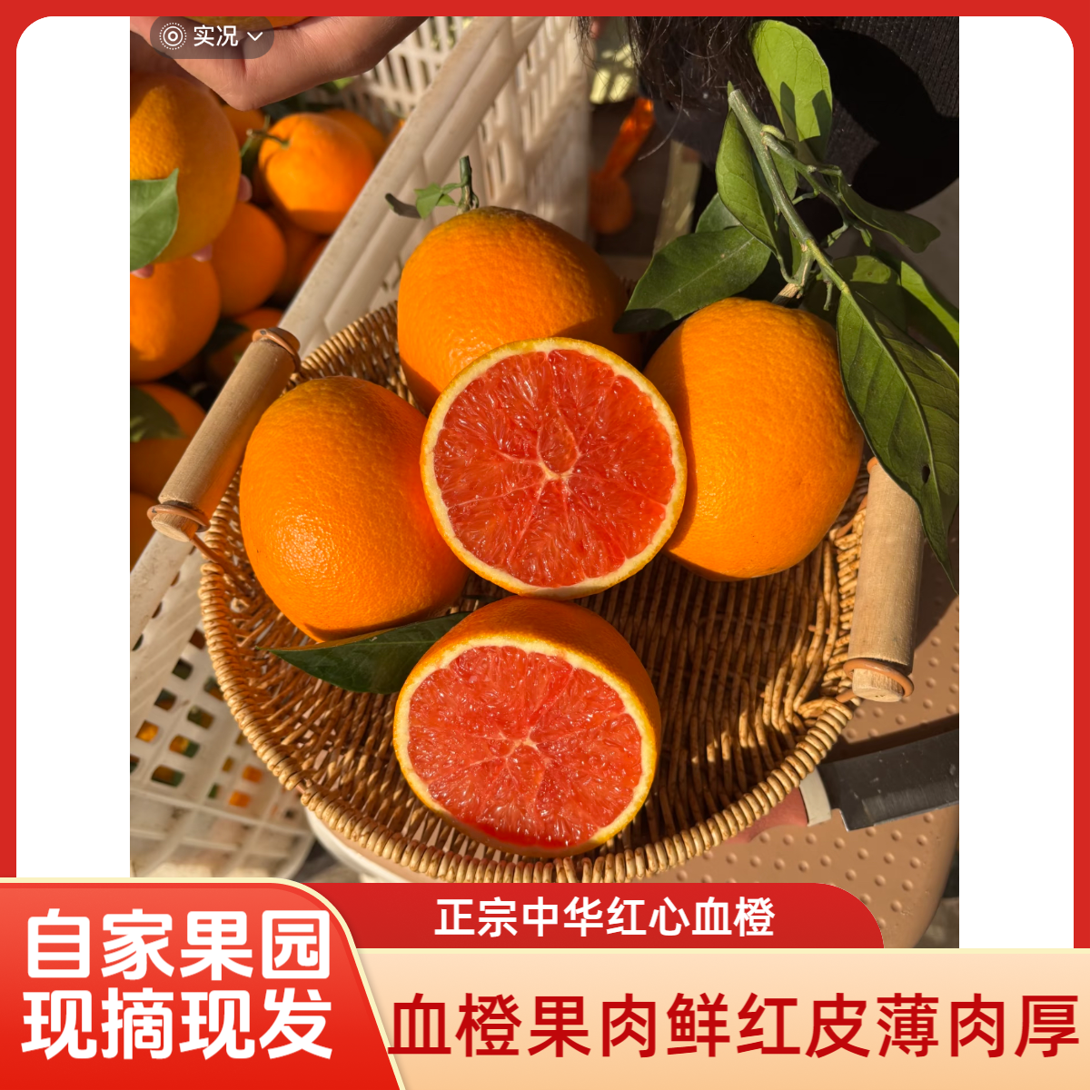 新鲜现摘中华红心肉血橙当季水果香甜多汁橙子