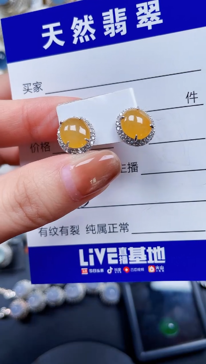银S925镶嵌翡翠耳饰243