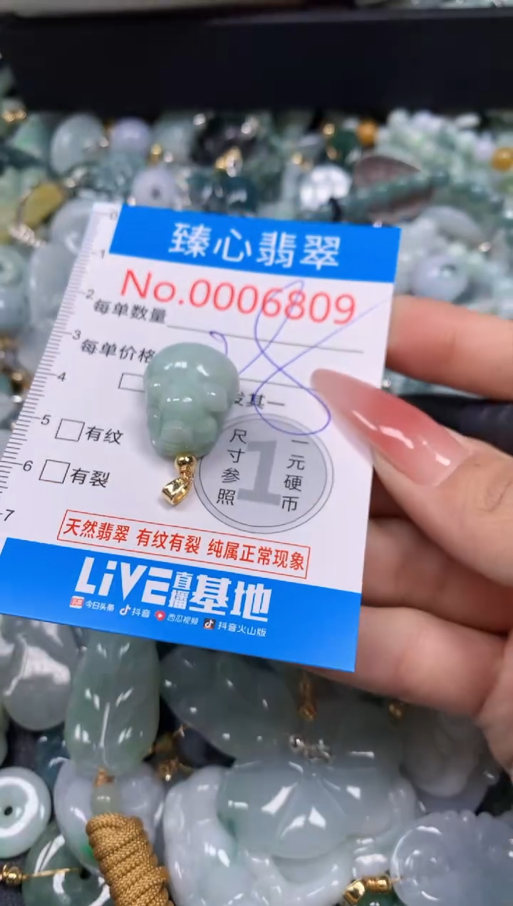 【闪购商品】翡翠颈饰未镶嵌含绳0006809