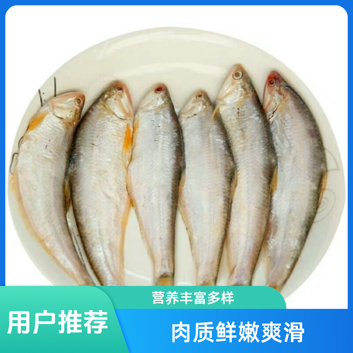 东海热气黄吉拷  到手净重4斤 顺丰包邮