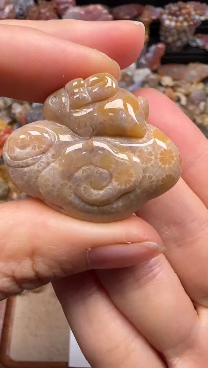 【闪购商品】硅化珊瑚（珊瑚玉）颈饰未镶嵌336