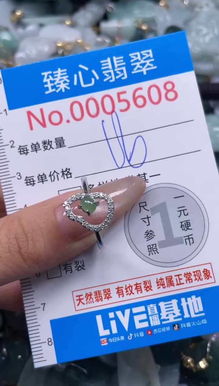 颈饰未镶嵌翡翠5608