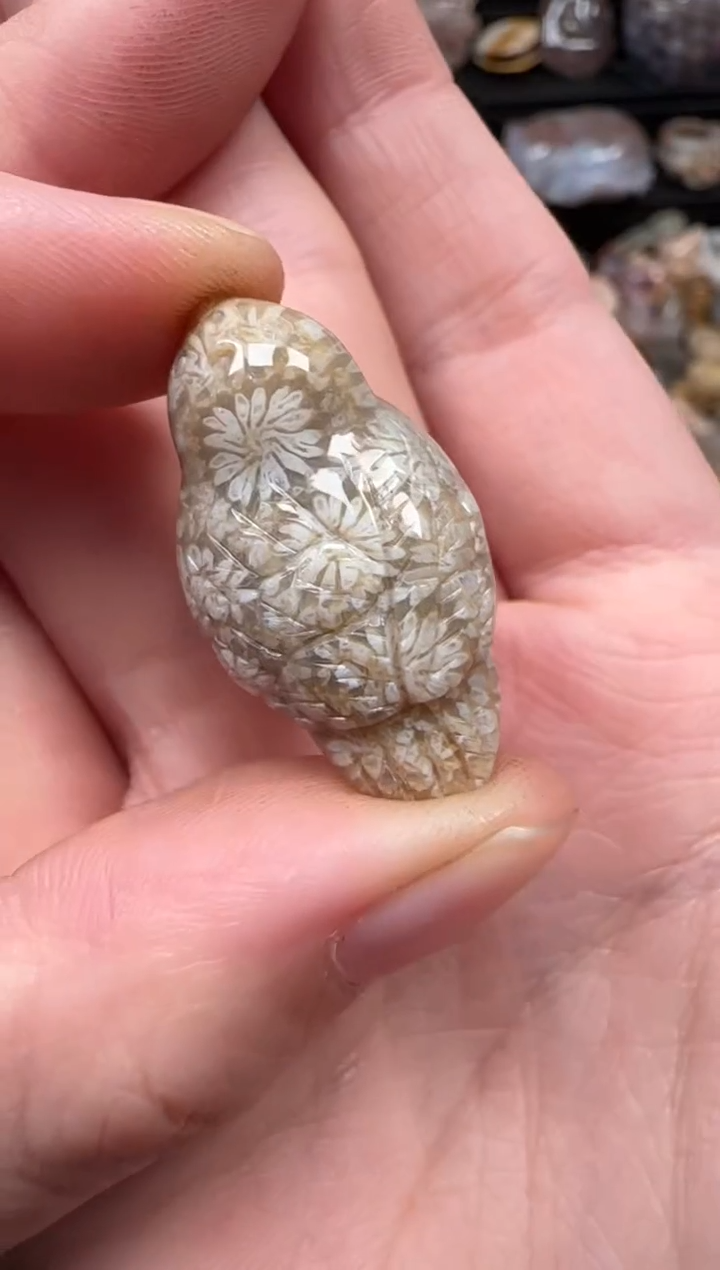 颈饰未镶嵌硅化珊瑚（珊瑚玉）239