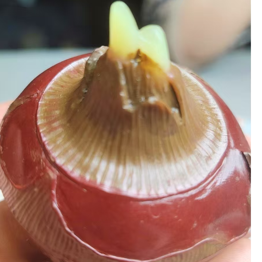 阿拉善彩石家具摆件