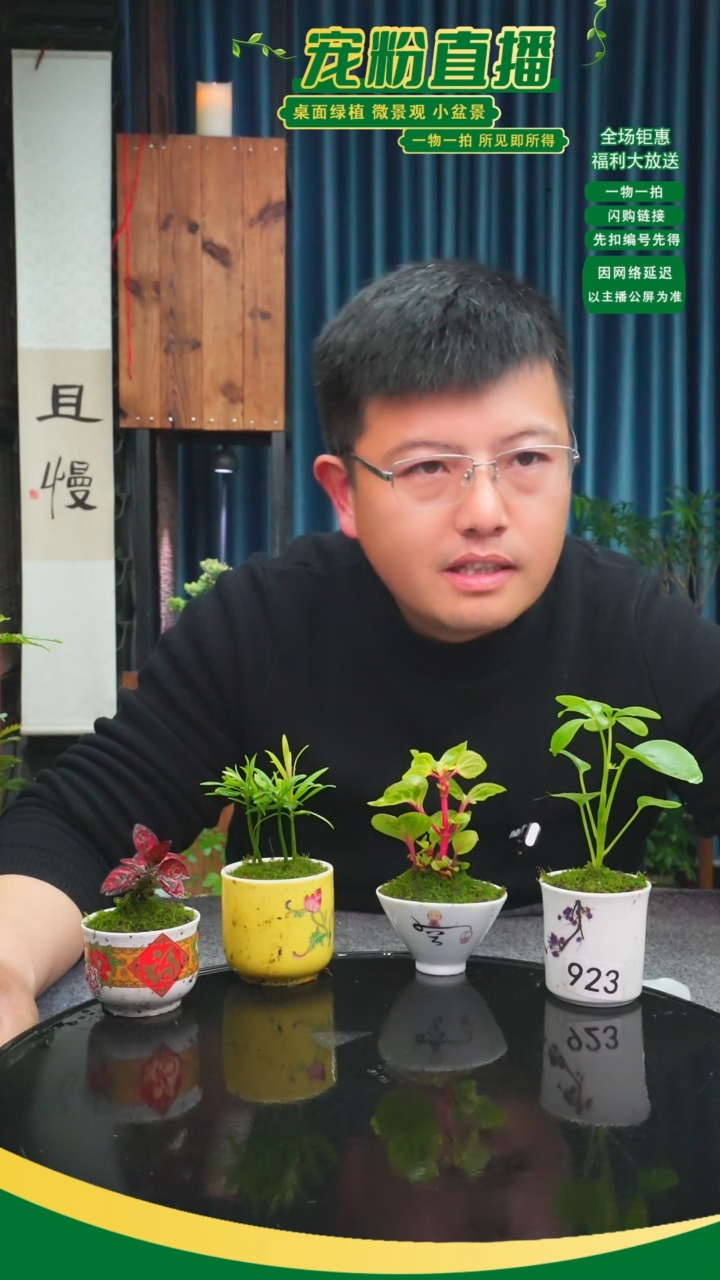 无花朵断*玄苔藓微景观923号