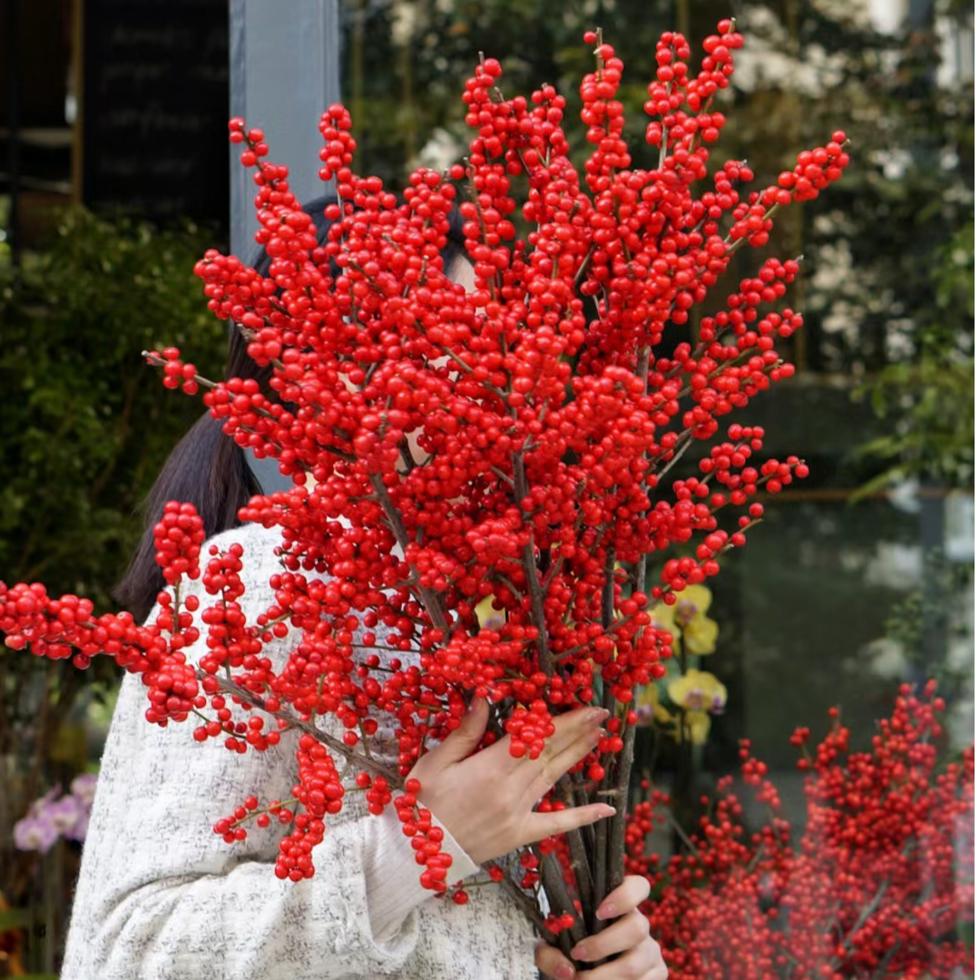 【S级】天物80-90cm北美冬青红果真花水培鲜花新年室内鲜切枝花卉