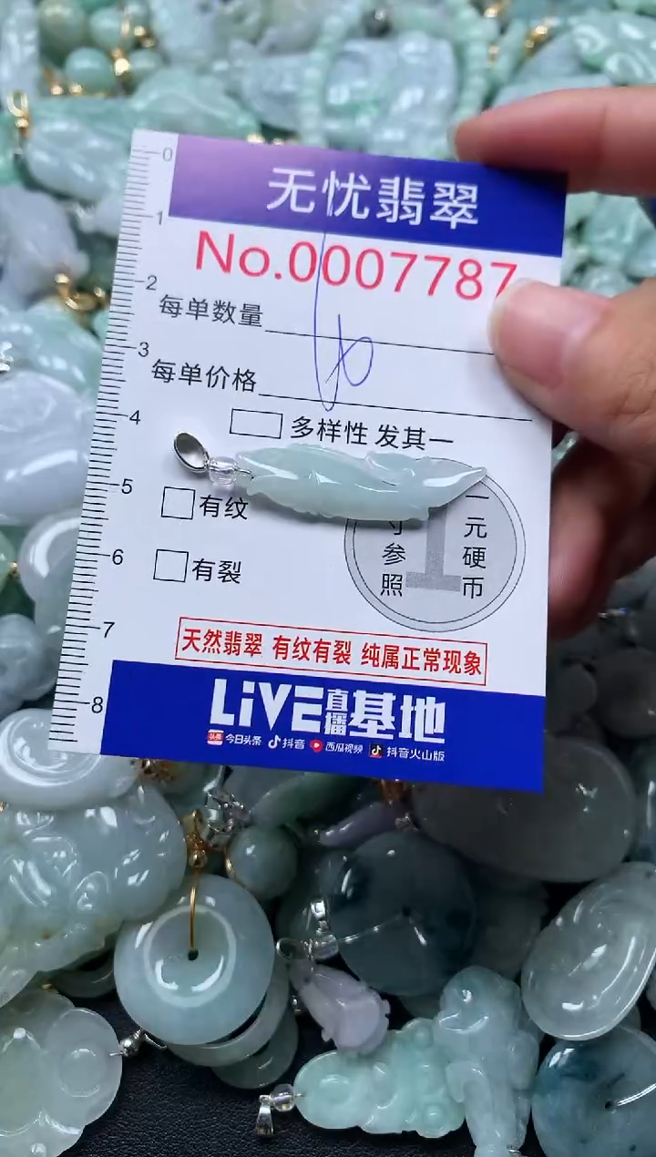 颈饰未镶嵌翡翠7787