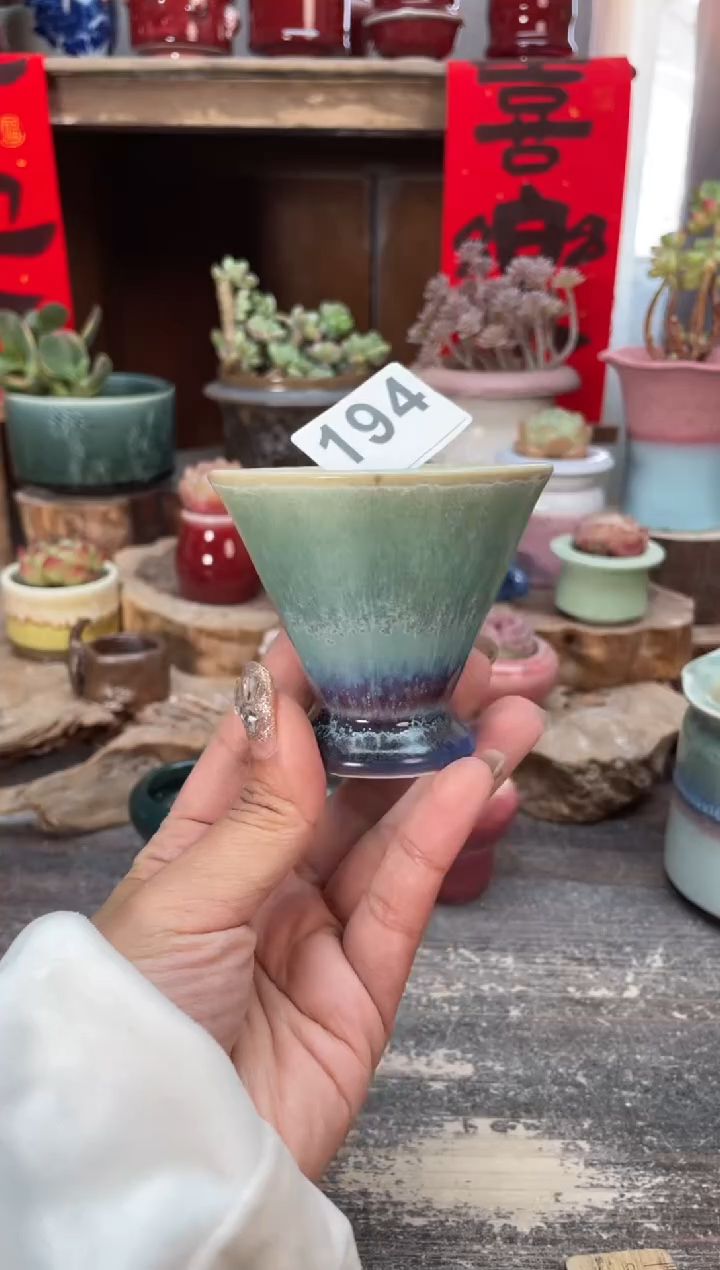 【闪购商品】摆件194知木小芳花盆