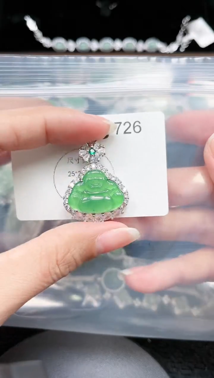 【闪购商品】翡翠颈饰未镶嵌赠皮绳726