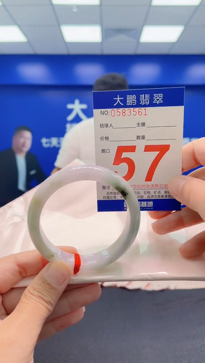 未镶嵌手镯翡翠AAAAAAAAA