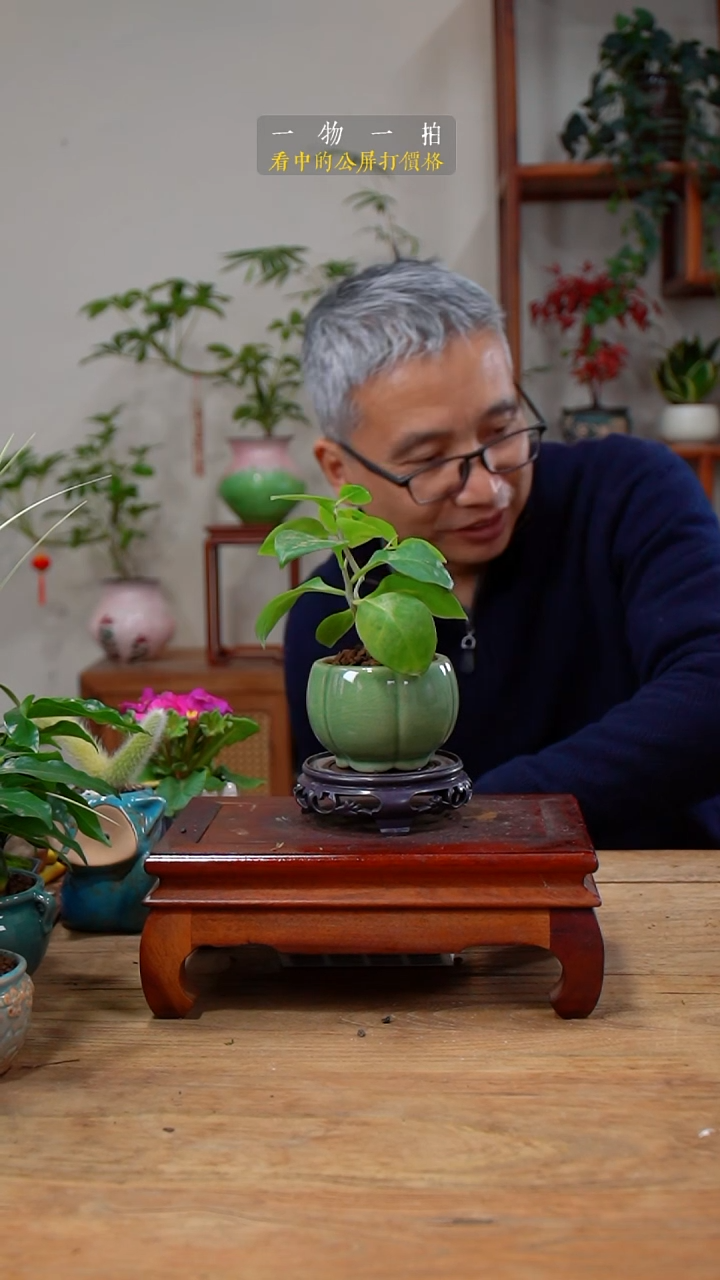 完全开放有**顺三七162