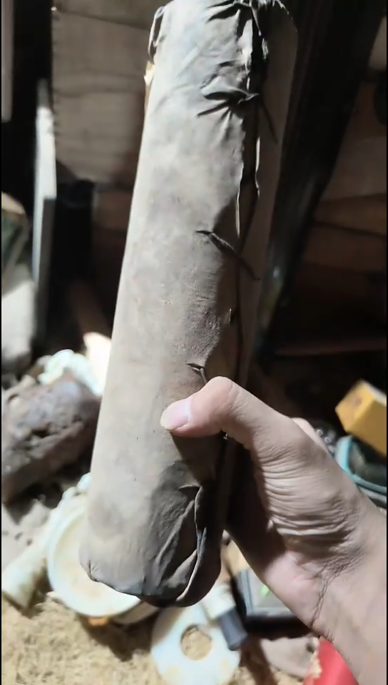 香榧木（1个小牛皮痛）