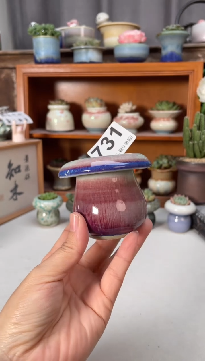 瓷片731知木小芳花盆