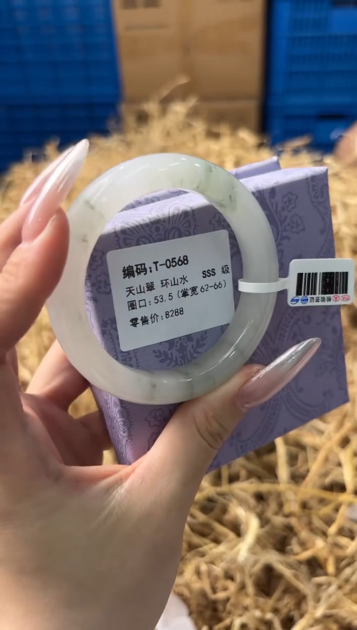 未镶嵌手镯石英质玉T-0568