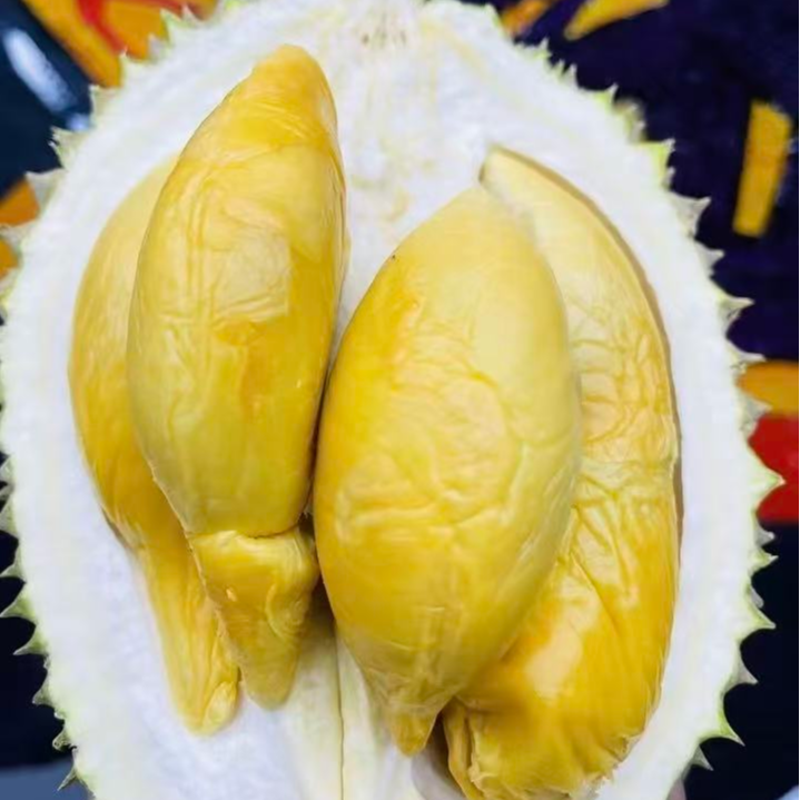 【D13】马来西亚新鲜榴莲香甜软糯