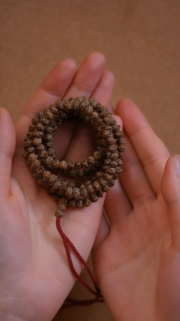 【闪购商品】柏香籽/百香籽手串sj219红芽横打