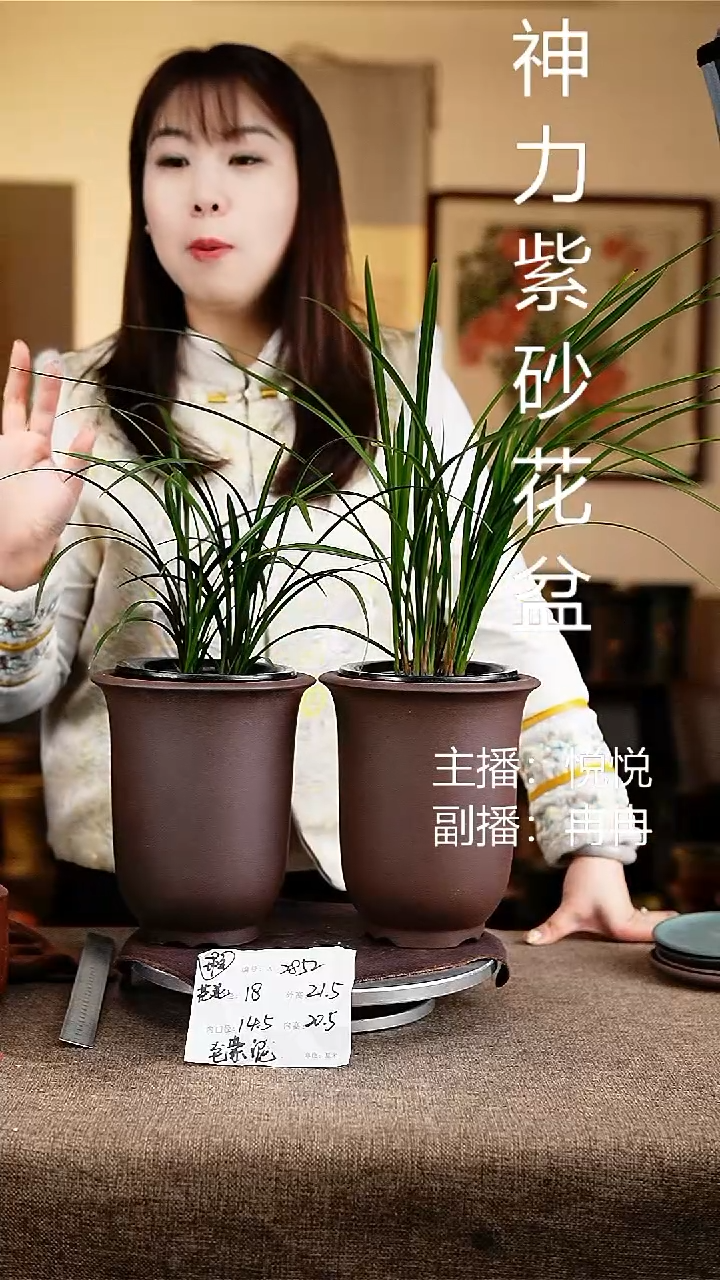 紫砂花盆花卉工艺2852