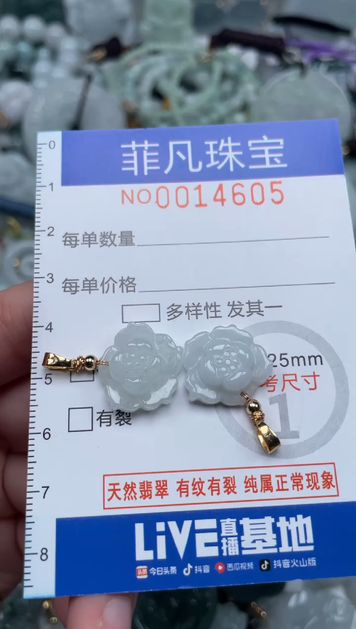 颈饰未镶嵌翡翠14605