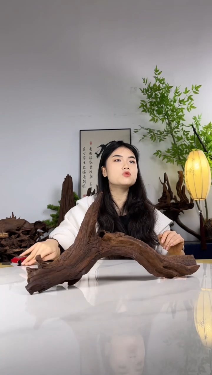 欣**族拍沉木定向链接编号15