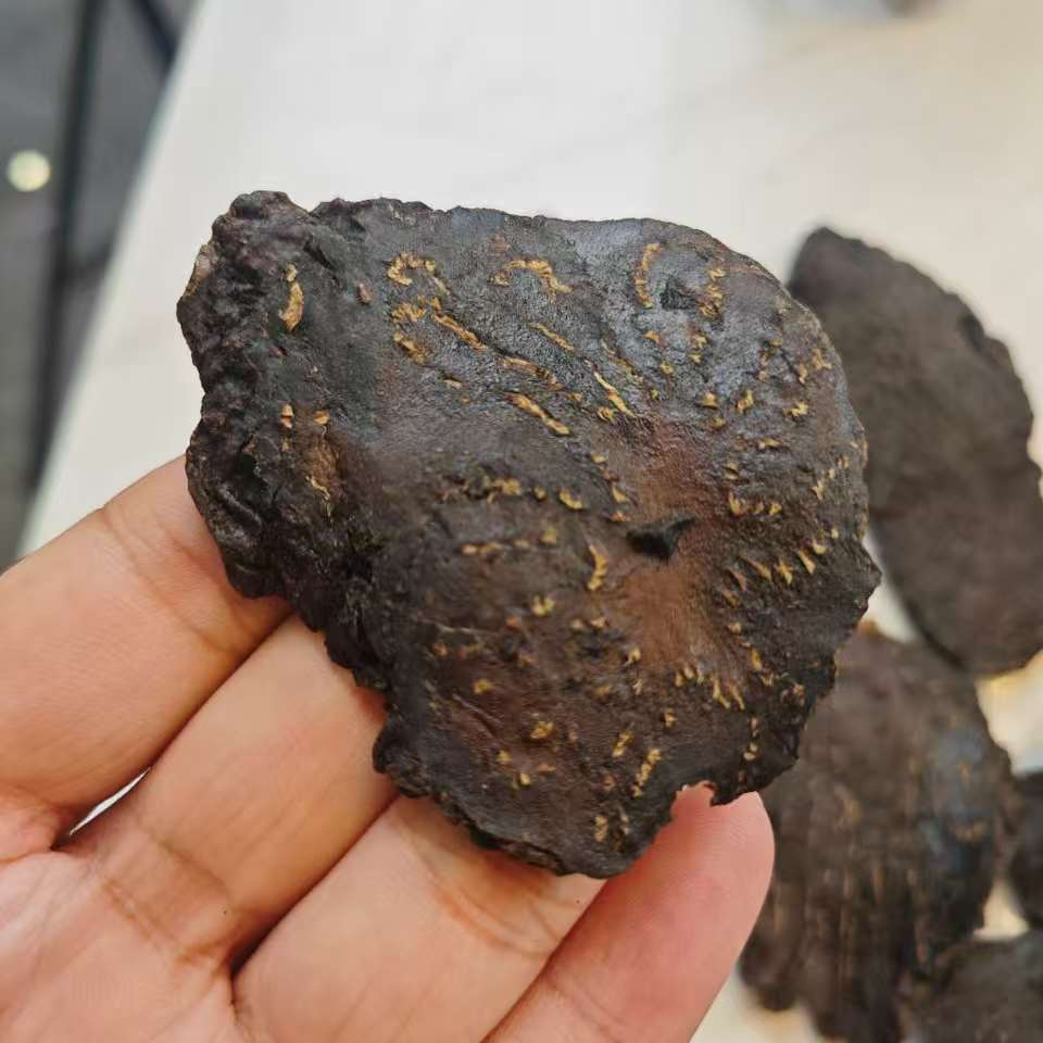 【聪爸精选】肉苁蓉 切片大片 内蒙阿拉善沙漠人参油性十足纹理清晰
