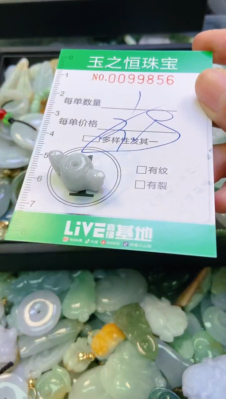 翡翠未镶嵌颈饰闪购0099856多样性发其一