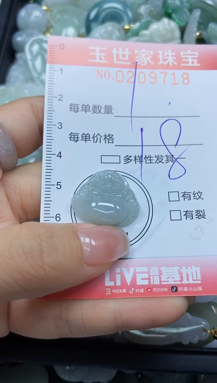 【闪购商品】翡翠颈饰未镶嵌闪购0209718