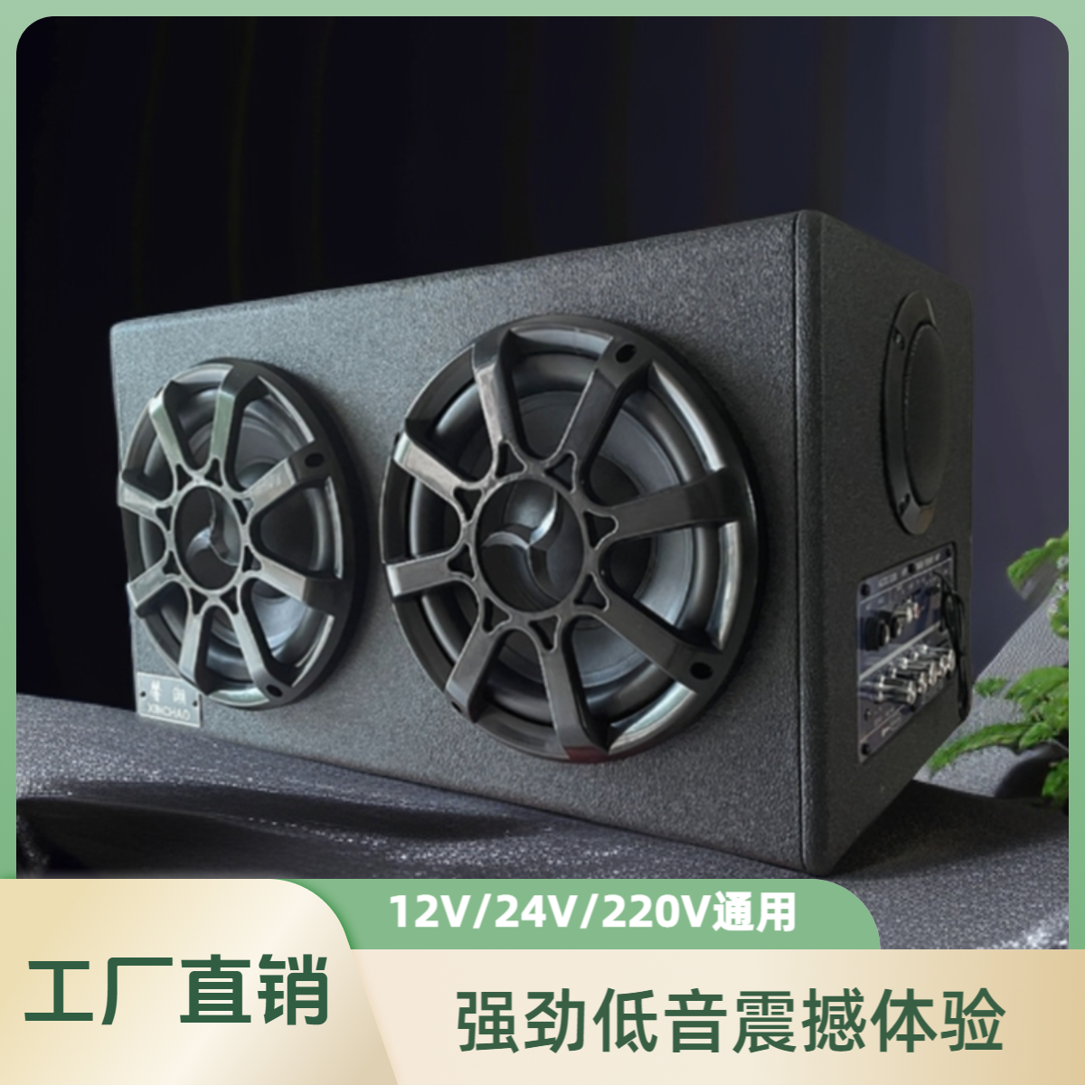 8寸双低频双高音双声道 K歌车载家用 12v24v220v通用