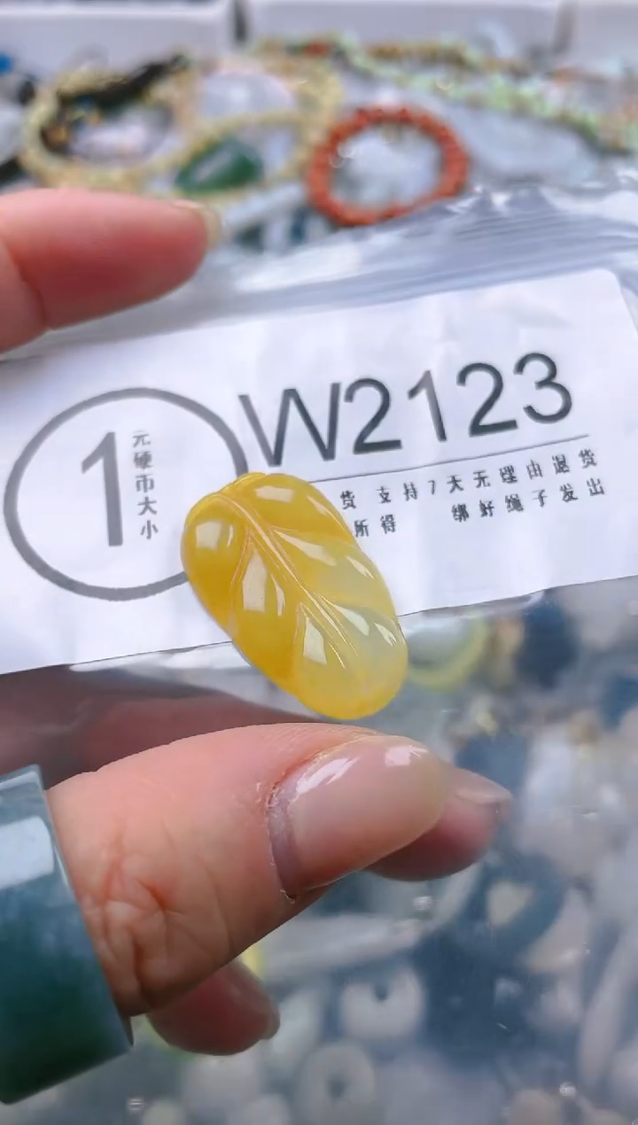 【闪购商品】翡翠颈饰未镶嵌/W/翡翠A货一图一物