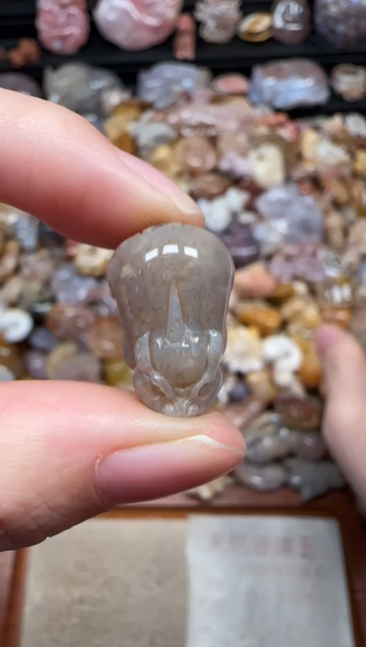 颈饰未镶嵌硅化珊瑚（珊瑚玉）298