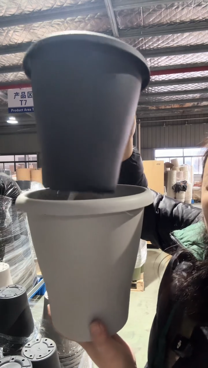 霍伦百合200花盆混色10只