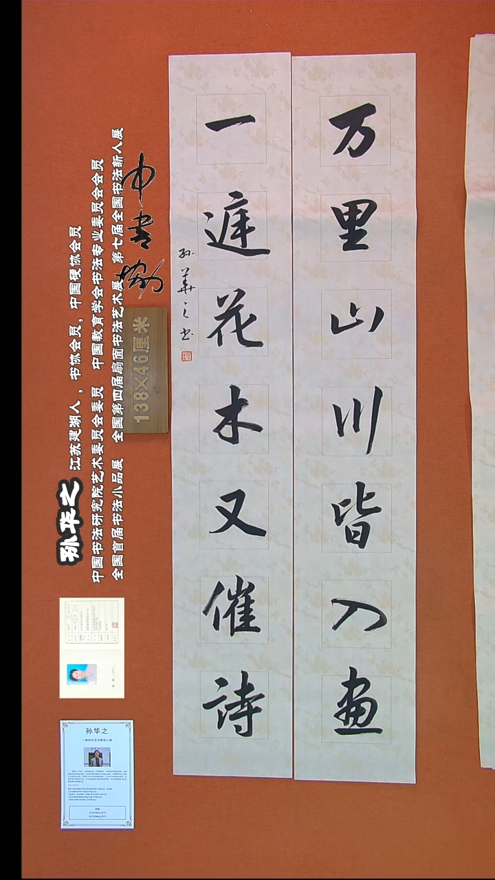 【闪购商品】书法754孙华之书法作品