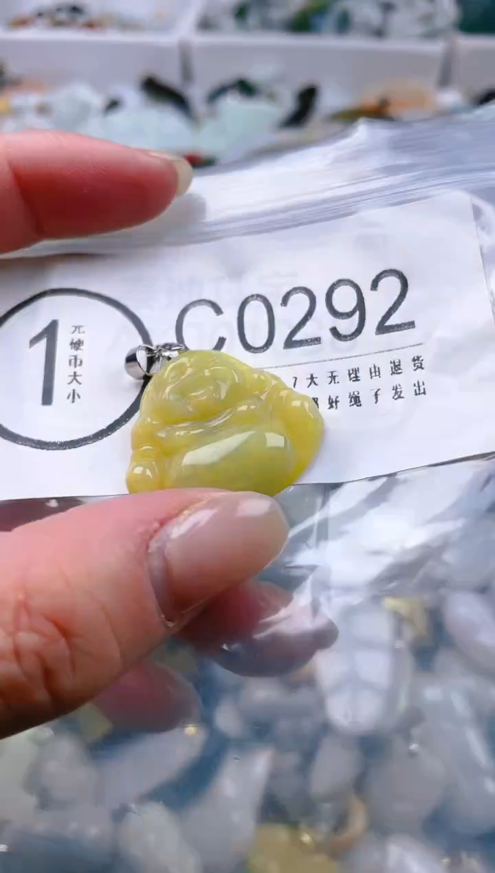 【闪购商品】翡翠颈饰未镶嵌/C/翡翠A货一图一物