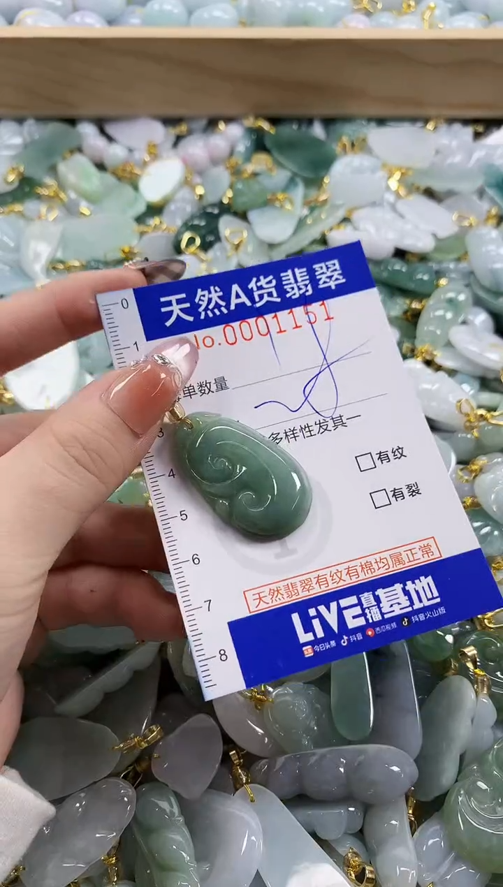 颈饰未镶嵌翡翠天然A货翡翠