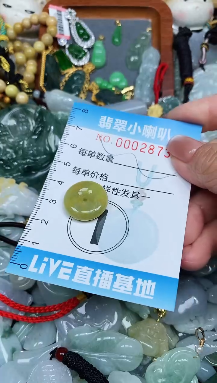 【闪购商品】翡翠颈饰未镶嵌闪购0002873