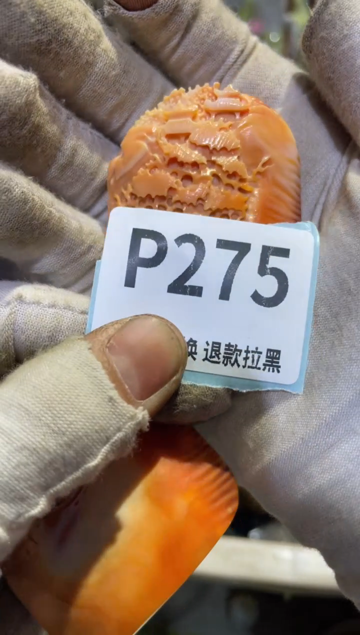 瓷片Z**.表妹链接火暴热卖