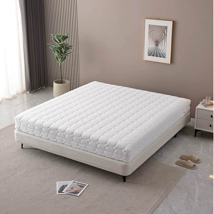 天丝家用独立袋装弹簧透气环保可拆护脊24cm加厚1米2实木薄款床垫