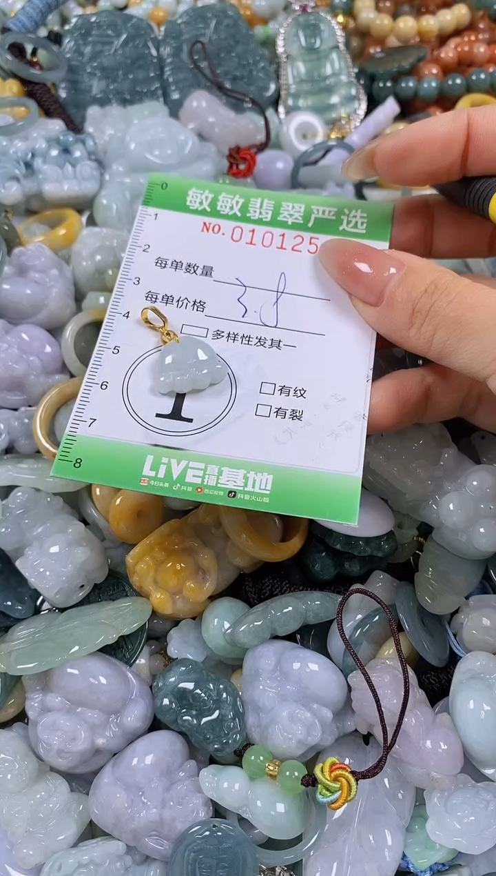 【闪购商品】翡翠颈饰未镶嵌闪购链接0101254