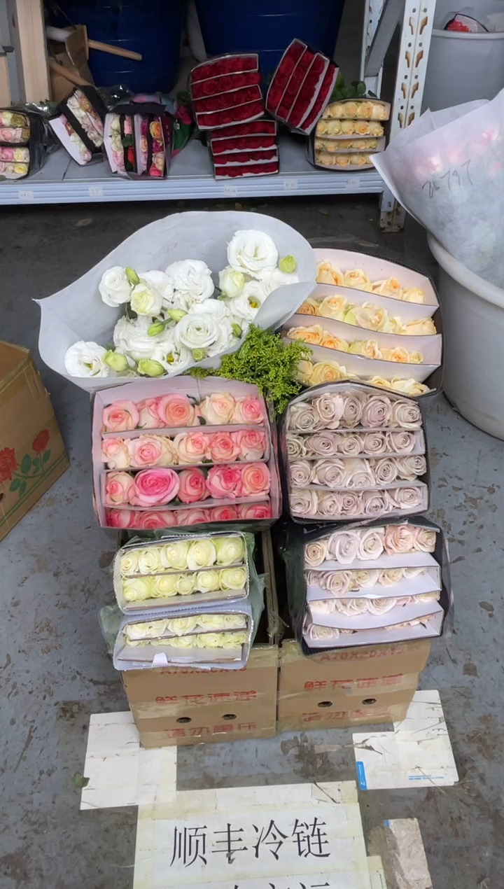 气场2扎+曼塔2扎+骄傲1扎+艾沙1扎+香槟1扎+白桔梗800克+黄莺   