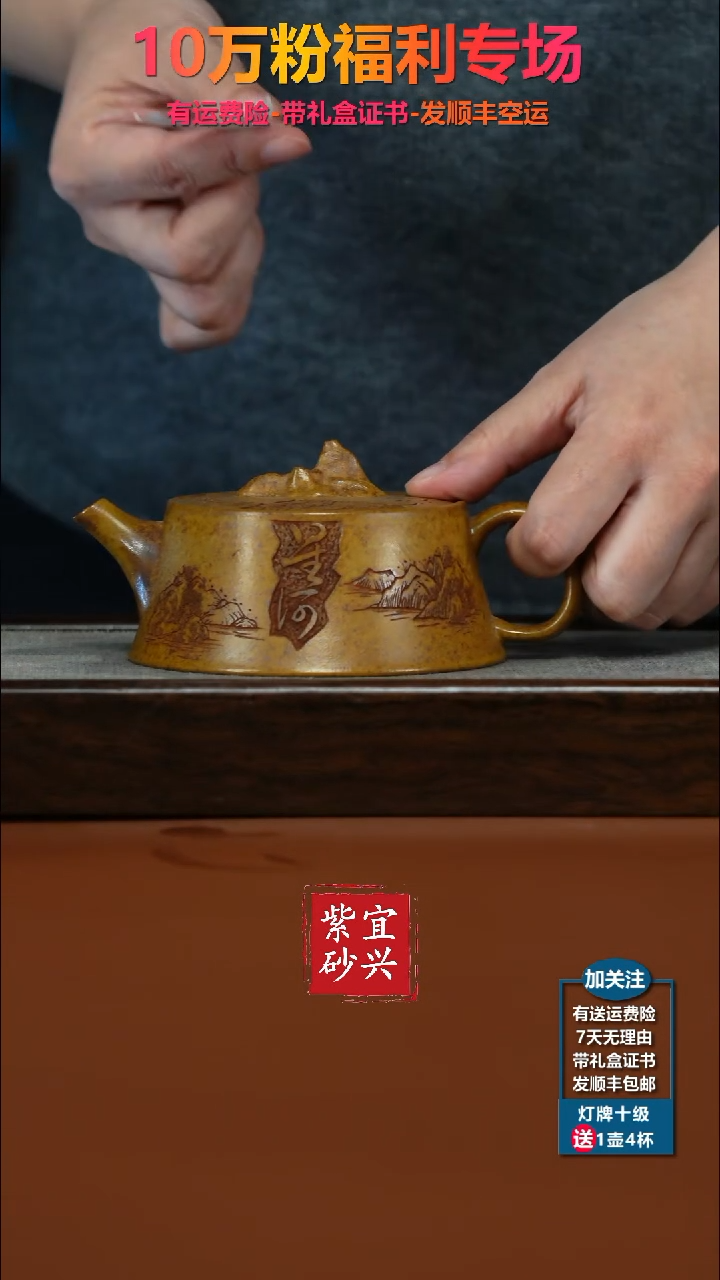茶壶紫砂顾建华龙骨金砂揽星河天际220CC