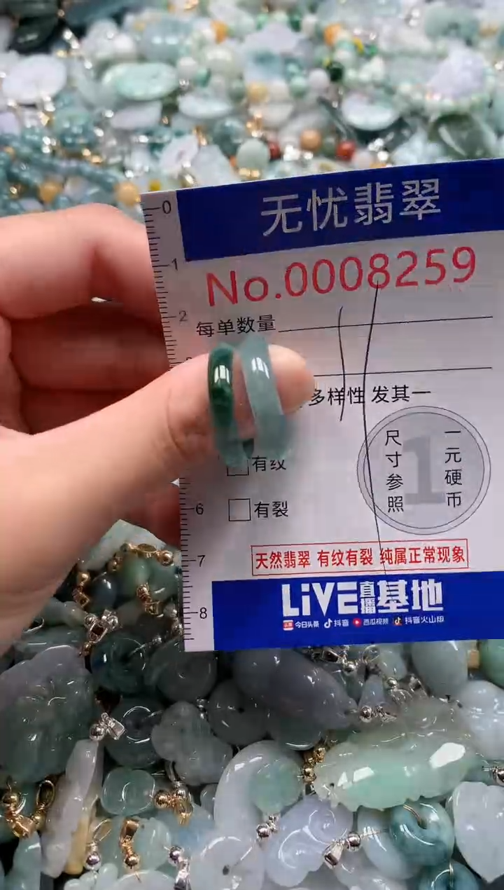 翡翠未镶嵌吊坠(不含链)8259