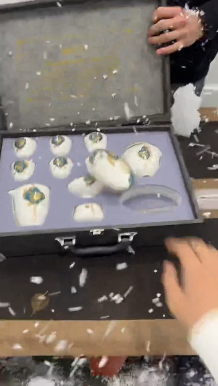 【闪购商品】其他@@@@@@@@@@@@@