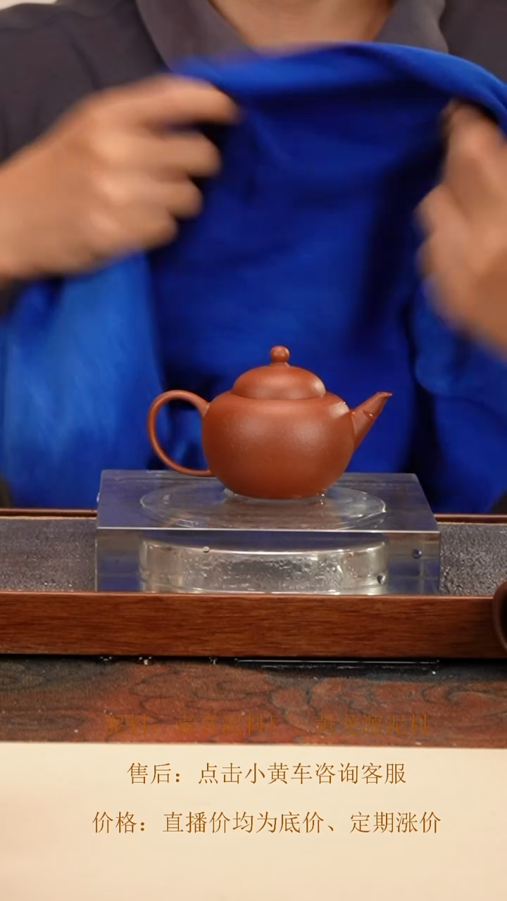 茶壶紫砂 宝珍水平 头槽清紫泥 100cc 钱币孔